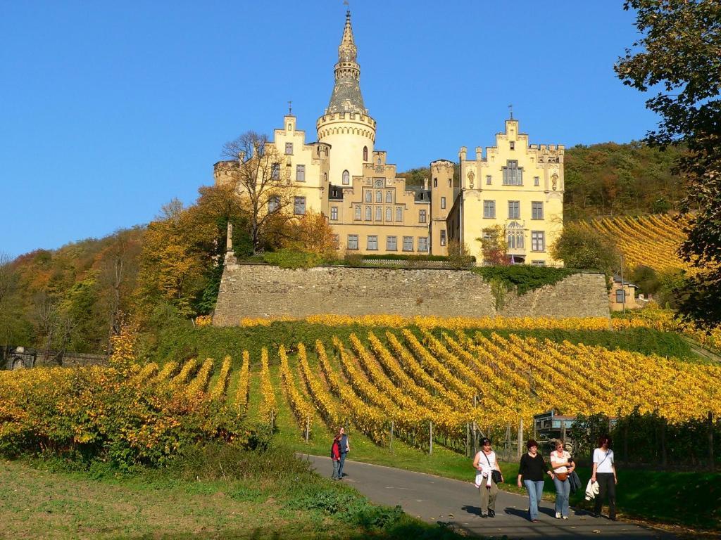 Zur Rheinschanz Bad Honningen Exteriér fotografie